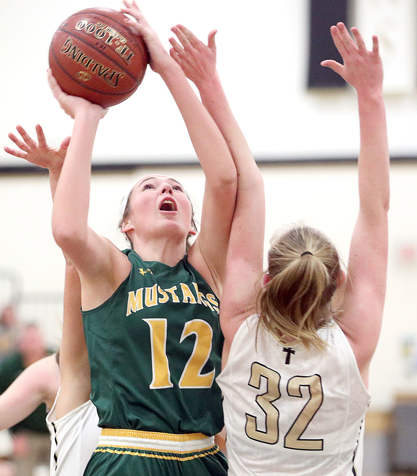 Nov. 13: Melrose-Mindoro vs. Onalaska Luther